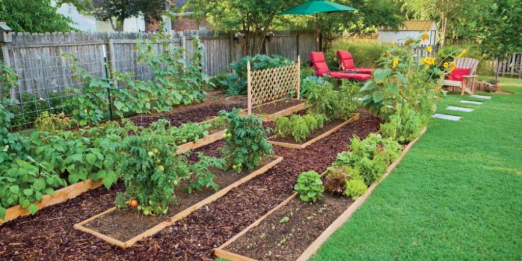 Edible landscaping 